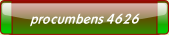 procumbens 4626.