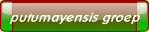 wp09f44d2e.png