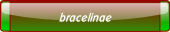 bracelinae.