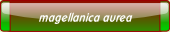 magellanica aurea.