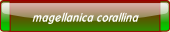 magellanica corallina.