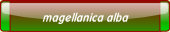 magellanica alba.