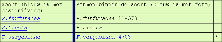wp3b92d6e8.png