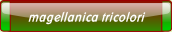 magellanica tricolori.