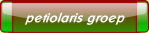 wp4a53b167.png