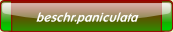 beschr.paniculata.