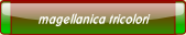 magellanica tricolori.