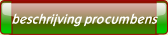 beschrijving procumbens.