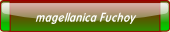 magellanica Fuchoy.
