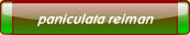 paniculata reiman.