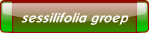 wp9356502d.png
