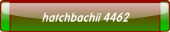 hatchbachii 4462.