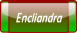 wpa1eb43da.png
