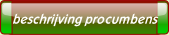 beschrijving procumbens.