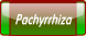 wpbf7d7987.png