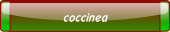 coccinea.