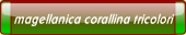 magellanica corallina tricolori.