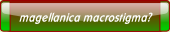 magellanica macrostigma?.