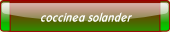 coccinea solander.