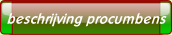 beschrijving procumbens.