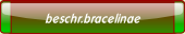 beschr.bracelinae.