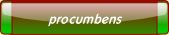 procumbens.